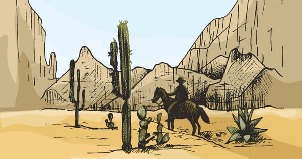 The Wild West Called Coaching: Should I Get Credentialed?